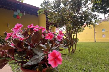 Unidade 2: área verde